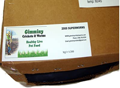 Bassett’s Cricket Range Organically Grown Mealworms