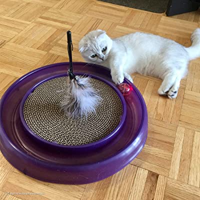 Bergan StarChaser Cat Toy, Assorted Colors