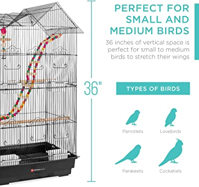 Best Choice Products Indoor Outdoor Iron Birdcage w/ Removable Tray