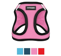 Best Pet Supplies Voyager Black Trim Mesh Dog Harness