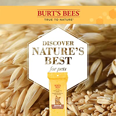 Burt's Bees Kitten and Cat Wipes
