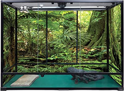 Carolina Custom Cages Terrarium