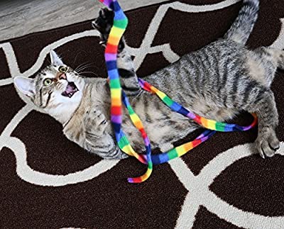Cat Dancer Products Rainbow Cat Charmer