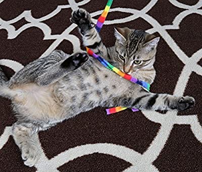 Cat Dancer Products Rainbow Cat Charmer