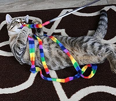 Cat Dancer Products Rainbow Cat Charmer