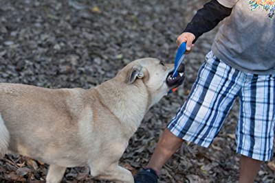 ChuckIt! Ultra Tug Dog Toy
