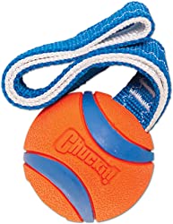 ChuckIt! Ultra Tug Dog Toy