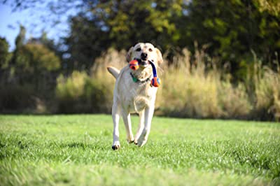 Chuckit! Tug Rope with Classic Rubber Balls