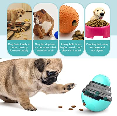 Colapets Treat Dispenser