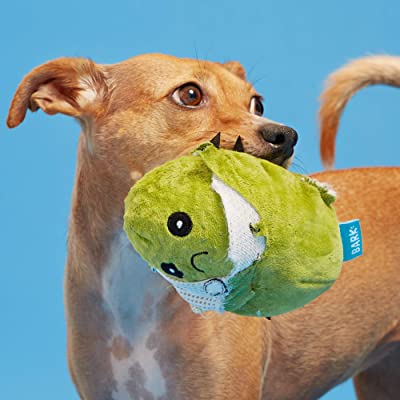 Consuela the Cactus Plush Toy