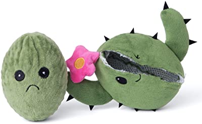Consuela the Cactus Plush Toy