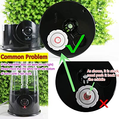 Coospider Reptile Fogger Terrariums Humidifier