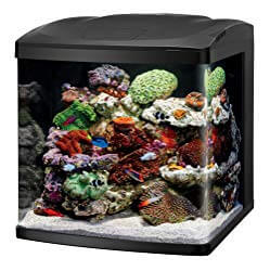 Coralife LED BioCube Aquarium Kit
