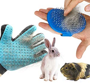 Dasksha Rabbit Grooming Kit with Rabbit Grooming Brush