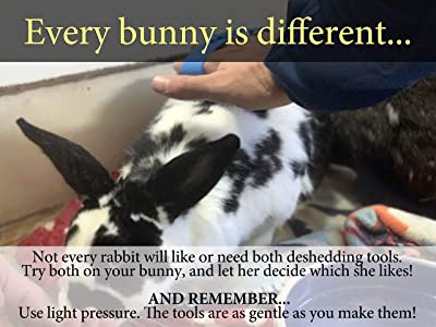 Dasksha Rabbit Grooming Kit with Rabbit Grooming Brush