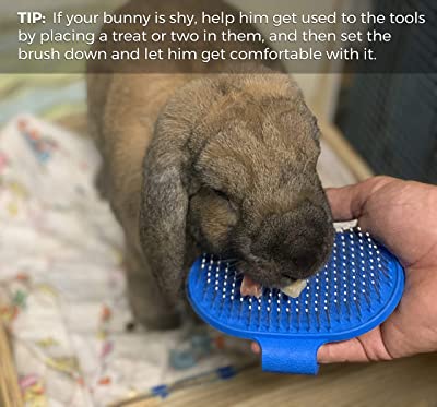 Dasksha Rabbit Grooming Kit with Rabbit Grooming Brush