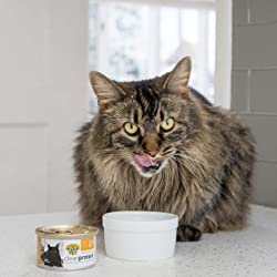 Dr. Elsey's Cleanprotein Turkey Formula Canned Cat Food