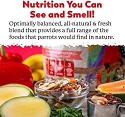 Dr. Harvey's Perfect Parrot Food Natural Food