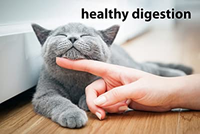 DrFormulas Nexabiotic Probiotics for Cats