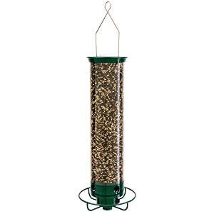 Droll Yankees Yankee Flipper Motorized Bird Feeder