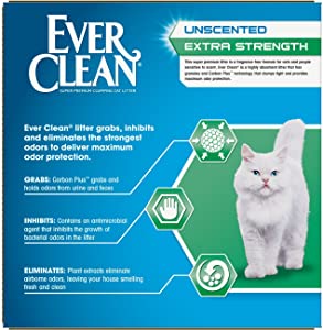 Ever Clean Extra Strength, Clumping Cat Litter