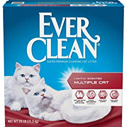 Ever Clean Multi-Cat Fresh Scented Clumping Clay Cat Litter
