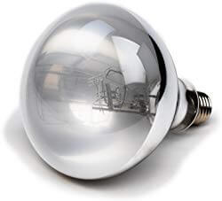Evergreen Pet Supplies 100 Watt UVA UVB Mercury Vapor Bulb
