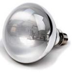 100 Watt UVA UVB Kwikdamp Lamp / Licht / Lamp