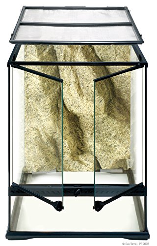Exo Terra Glass Natural Terrarium Kit