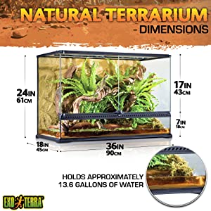 Exo Terra AllGlass Terrarium