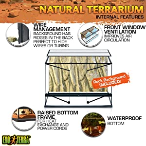Exo Terra AllGlass Terrarium