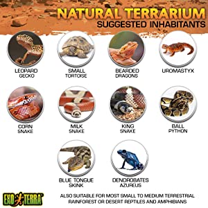 Exo Terra AllGlass Terrarium