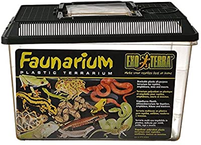 Exo Terra Faunarium Terrarium