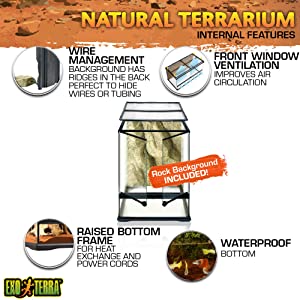 Exo Terra Glass Natural Terrarium Kit