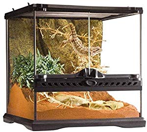 Exo Terra Glass Terrarium Kit, for Reptiles and Amphibians