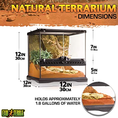 Exo Terra Glass Terrarium Kit, for Reptiles and Amphibians