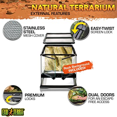 Exo Terra Glass Terrarium Kit