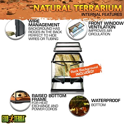 Exo Terra Glass Terrarium Kit