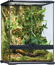Exo Terra Rainforest Habitat Kit
