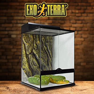 Exo Terra Rainforest Habitat Kit