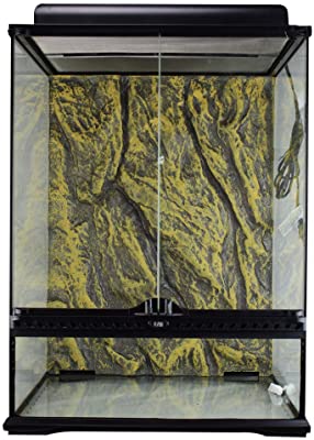 Exo Terra Rainforest Habitat Kit