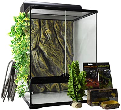 Exo Terra Rainforest Habitat Kit