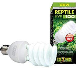 Exo Terra Repti-Glo 5.0 Compact Fluorescent Terrarium Lamp