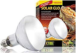 Exo Terra Solar-Glo High-Intensity UV/Heat Mercury Vapor Lamp