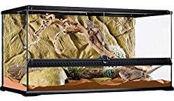 Exo Terra AllGlass Terrarium
