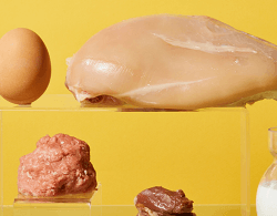 Smalls Freeze-Dried Raw Bird