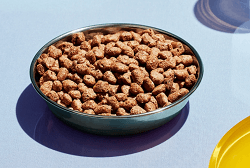 Smalls Freeze-Dried Raw Bird