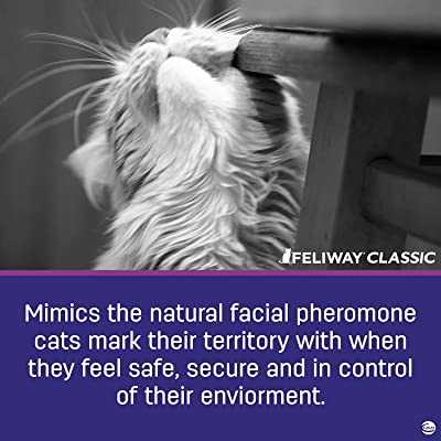 Feliway Classic Calming Spray for Cats