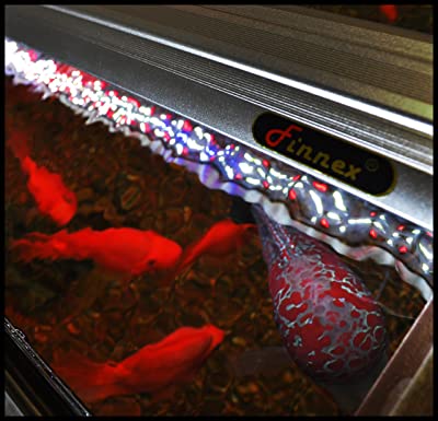 Finnex Ray2 LED Aquarium Light
