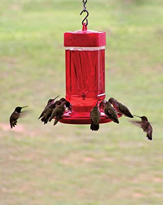 First Nature 3055 32-ounce Hummingbird Feeder